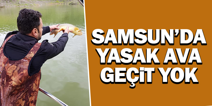 Yasak av ürünü 200 kilo sazan balığı baraja salındı 