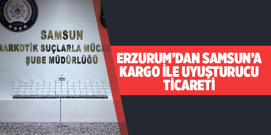 Kargo ile uyuşturucu ticaretine gözaltı 