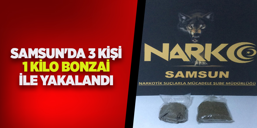 İstanbul'dan bonzai getirirken yakalandılar