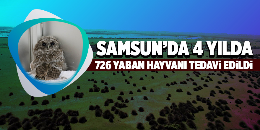 Samsun’da 726 yaban hayvanı doğaya geri bırakıldı 