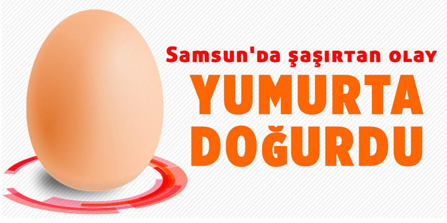 Samsun'da yumurtanın içinden bakın ne çıktı