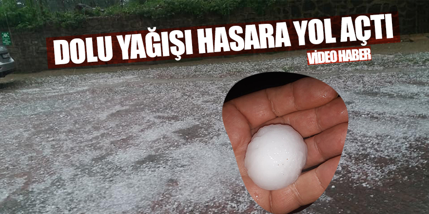 Dolu yağışı araçlara ve tarlalara zarar verdi