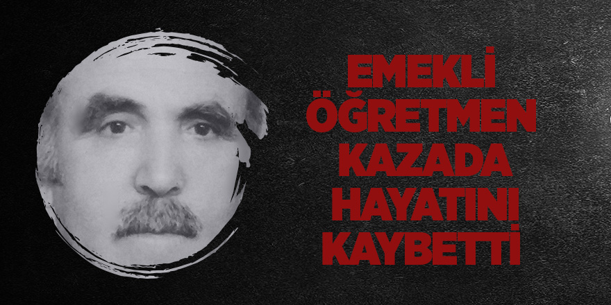 Emekli öğretmen yolun karşısına geçemedi 