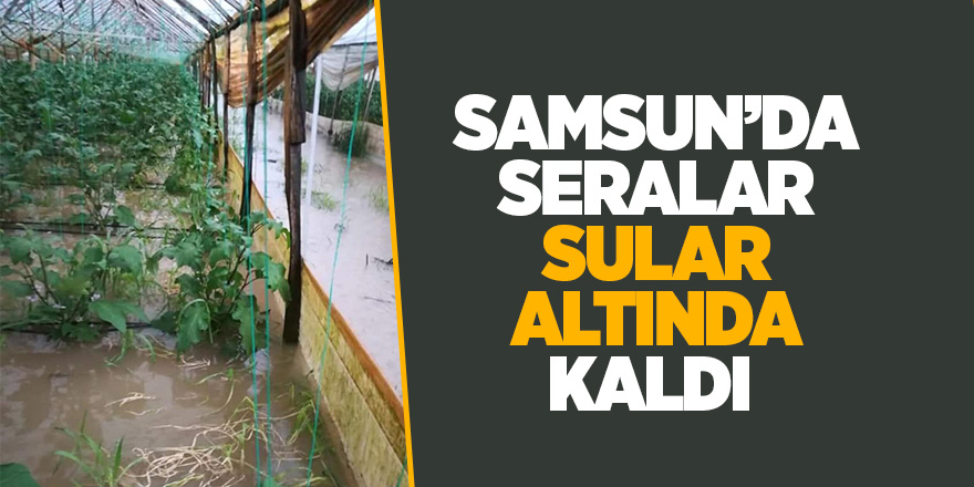 Seralardaki ürünler sular altında kaldı 