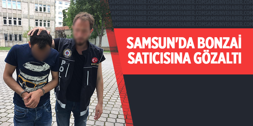 Samsun'da bonzai satıcısına gözaltı