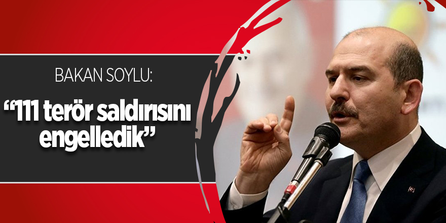 Bakan Soylu açıkladı