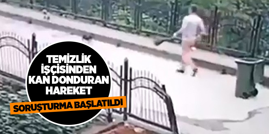 Yavru köpeği dereye atan temizlik işçisi hakkında soruşturma başlatıldı