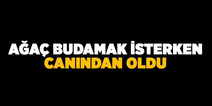 Ağaç budamak isterken canından oldu 