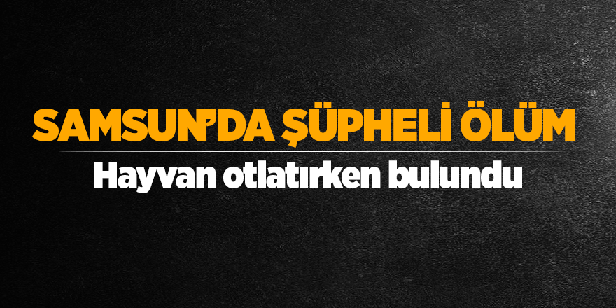 Hayvan otlatırken ölü bulundu