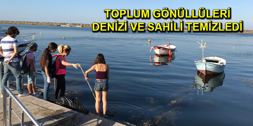 Gönüllü gençler sahili temizledi