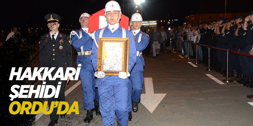 Hakkari şehidi memleketi Ordu'ya getirildi