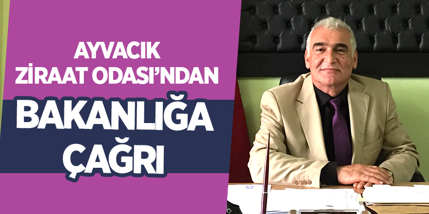 Fındık fiyatları açıklanmadan önce maliyet raporları dikkate alınmalı