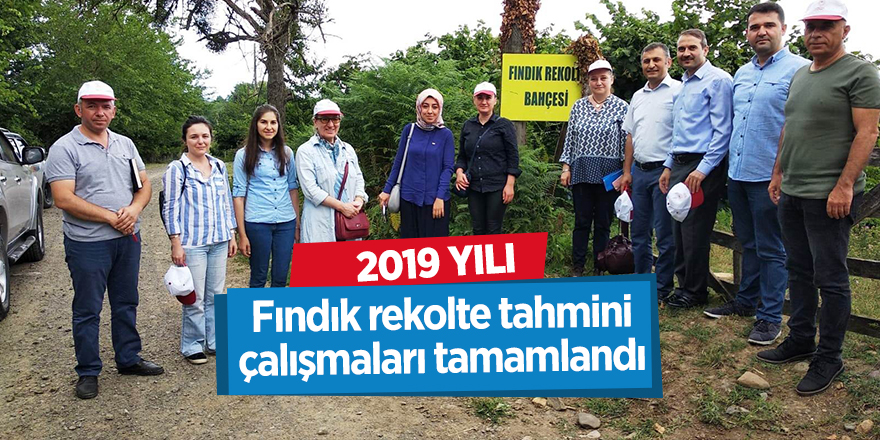 Samsun'da 2019 yılı fındık rekolte tahmini çalışmaları tamamlandı