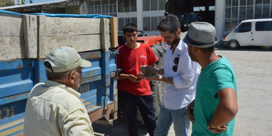 Havza'da buğday pazarı hareketlendi