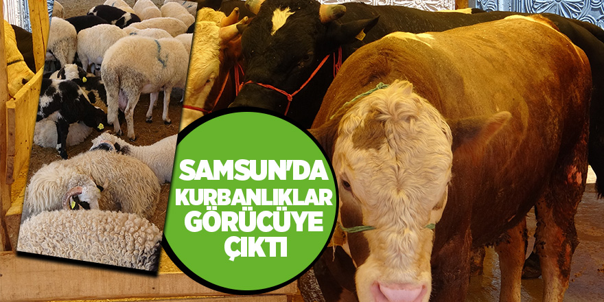 Her keseye uygun kurbanlık bulunuyor