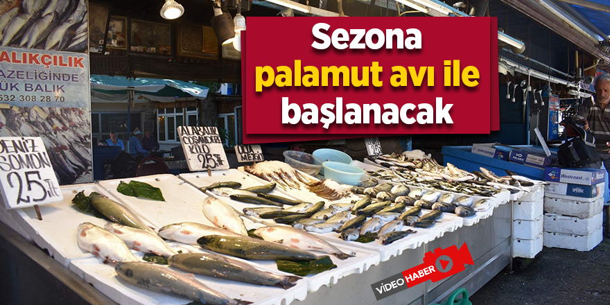 Balıkçıların yeni sezonda umudu palamut