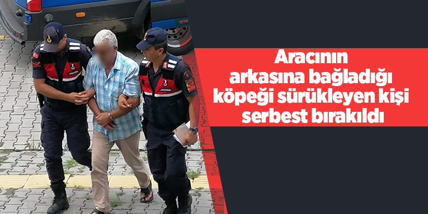 Aracının arkasına bağladığı köpeği sürükleyen kişi serbest bırakıldı