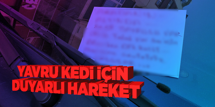 Otomobilin camına yazı yazıp, yavru kedi için şoförü uyardı