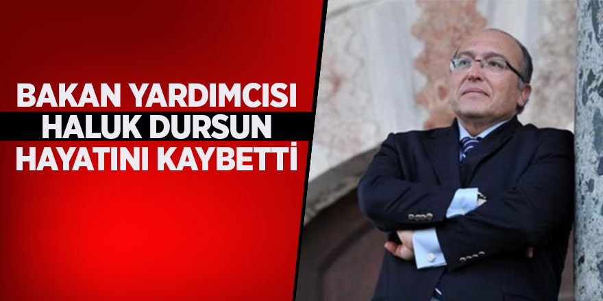 Bakan Yardımcısı Haluk Dursun hayatını kaybetti