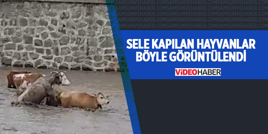 Ordu’da şiddetli yağış hayatı olumsuz etkiledi