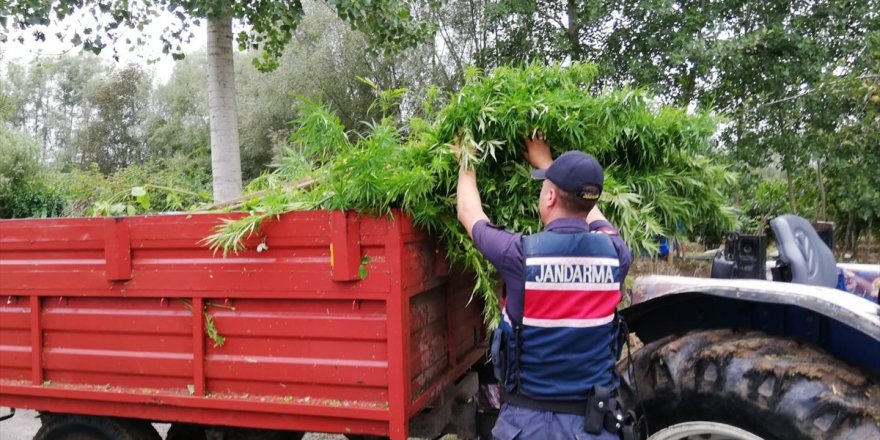 Samsun'da uyuşturucu operasyonu: 2 gözaltı