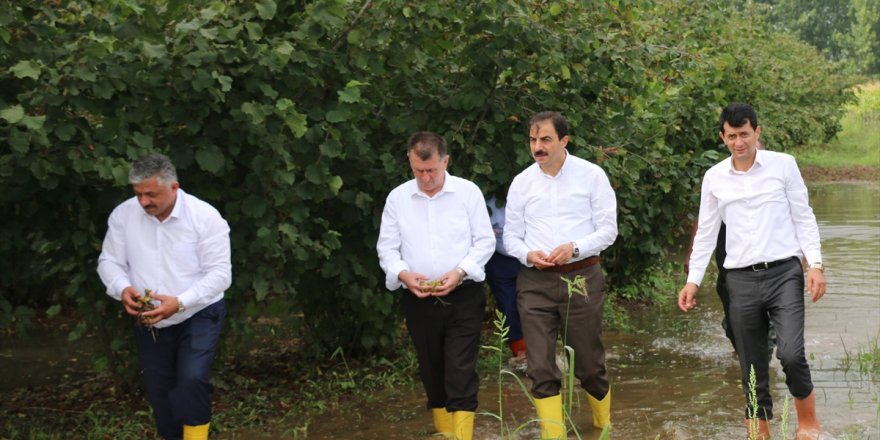 TZOB'dan Samsun'da selin etkilediği tarım alanlarında inceleme