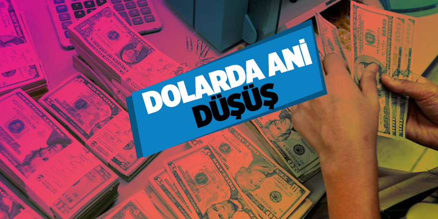 Dolar kaç TL oldu?