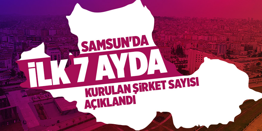 Samsun şirket sayısıyla 17. sırada 