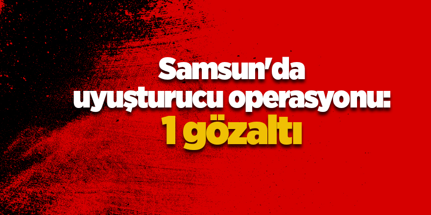 Samsun'da uyuşturucu operasyonu: 1 gözaltı