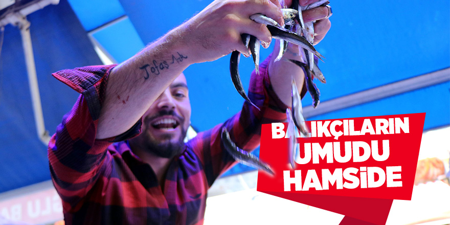 Samsun'da palamut yok, umut hamside 