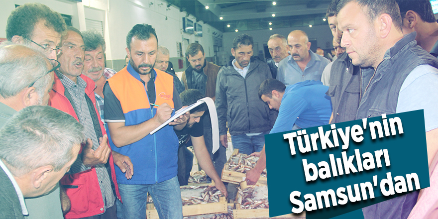 Samsun Balık Hali'nde yoğunluk