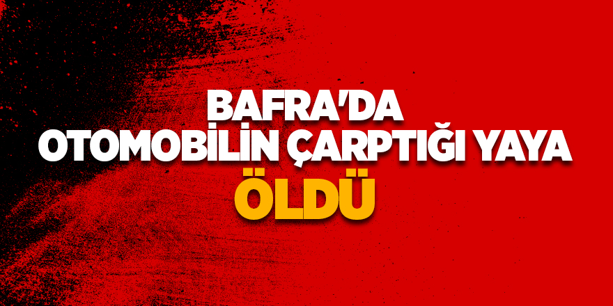 Bafra'da otomobilin çarptığı yaya öldü