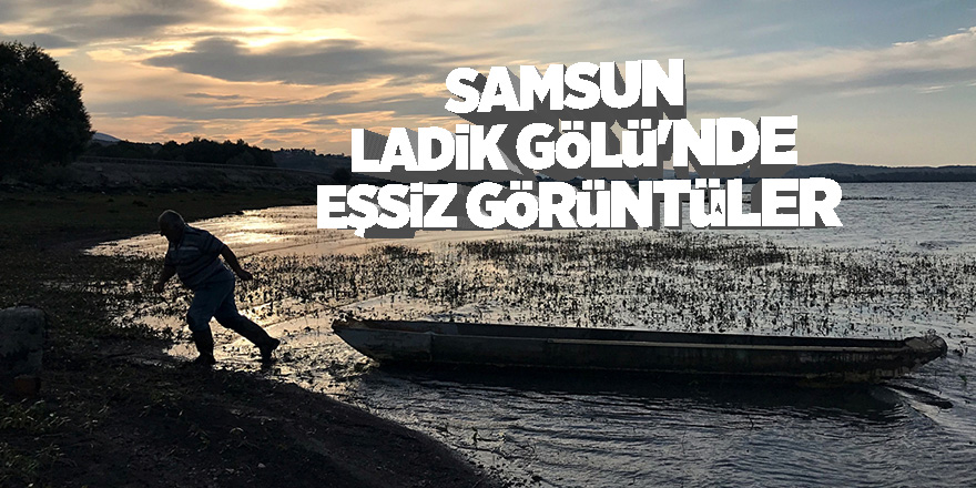 Samsunlu balıkçı, emeğini pelikanlarla paylaşıyor