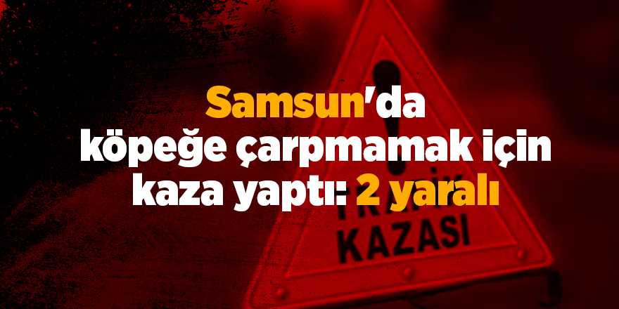 Samsun'da köpeğe çarpmamak için kaza yaptı: 2 yaralı