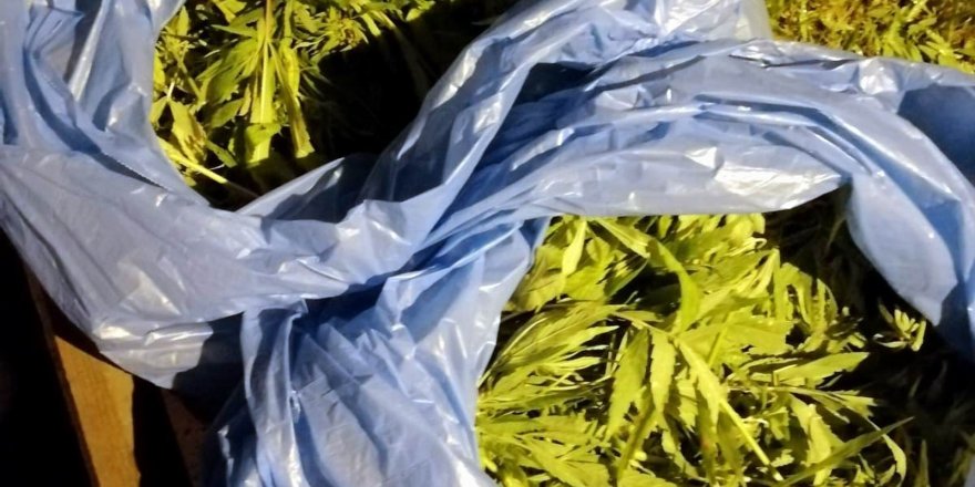 Samsun'da jandarma 5 kilo 200 gram kubar esrar ele geçirdi