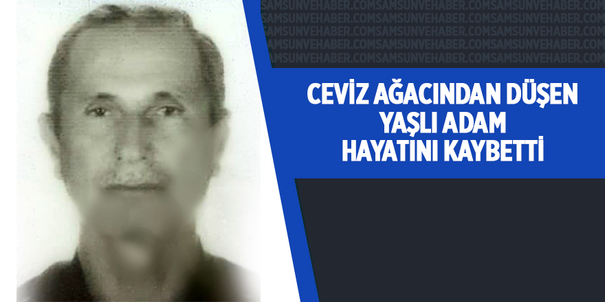 Ceviz toplamak için çıktığı ağaç ölümüne neden oldu