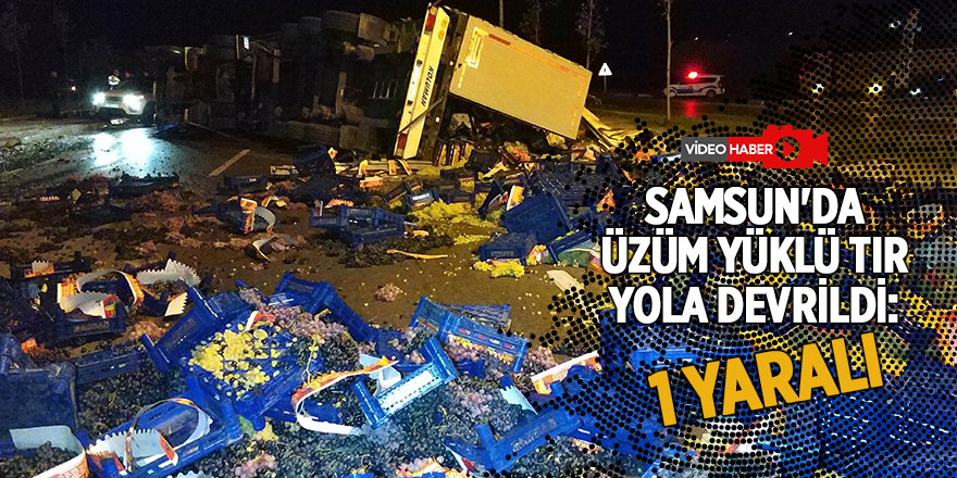 26 ton üzüm ve domates yola saçıldı