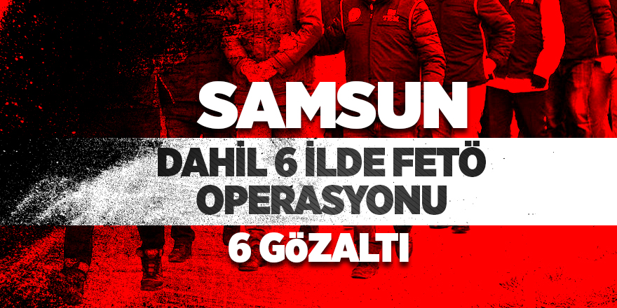 6 ilde dev FETÖ operasyonu: 6 gözaltı