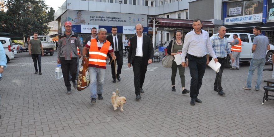 Terme Belediyesi hayvanları unutmadı