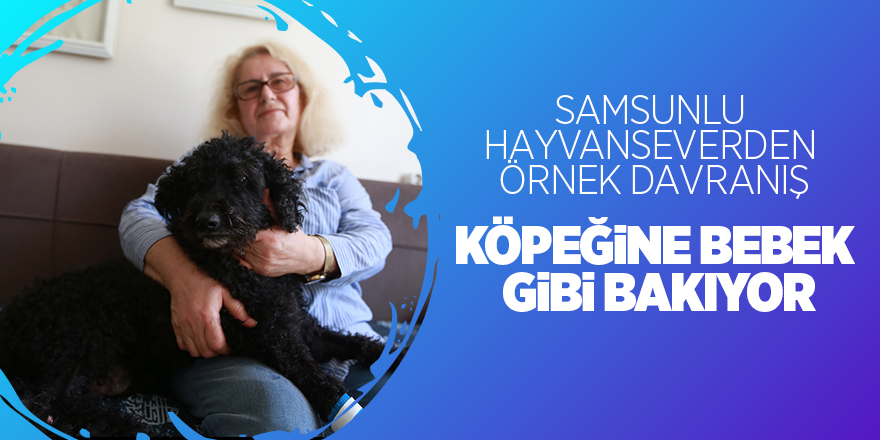 Köpeğini bebek arabasında gezdiriyor