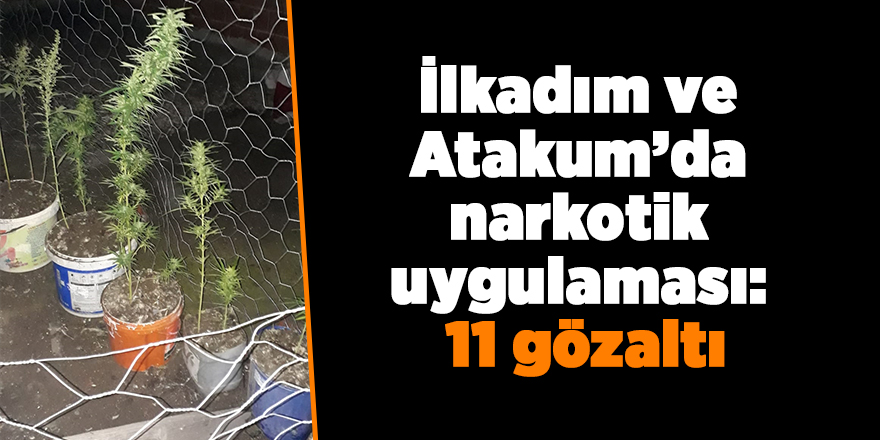 Samsun'da narkotik uygulaması: 11 gözaltı