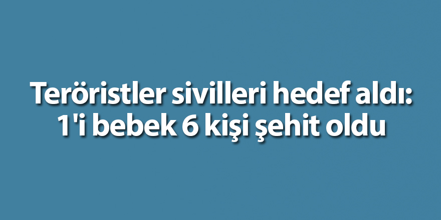 Teröristler sivilleri hedef aldı: 1'i bebek 6 kişi şehit oldu