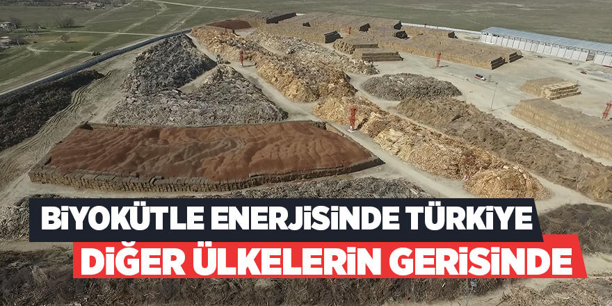 Biyokütleden enerji üretiminde Türkiye’nin yeri