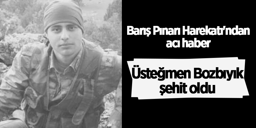 Barış Pınarı Harekatı'ndan acı haber