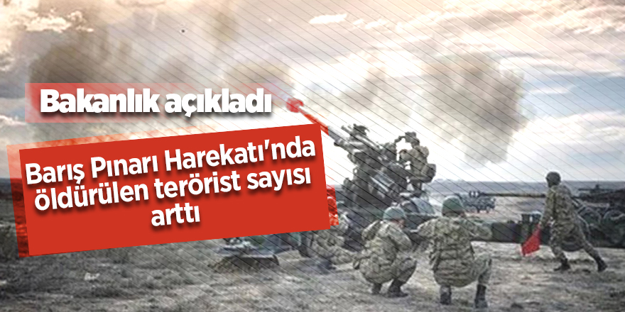 Barış Pınarı Harekatı'nda öldürülen terörist sayısı arttı