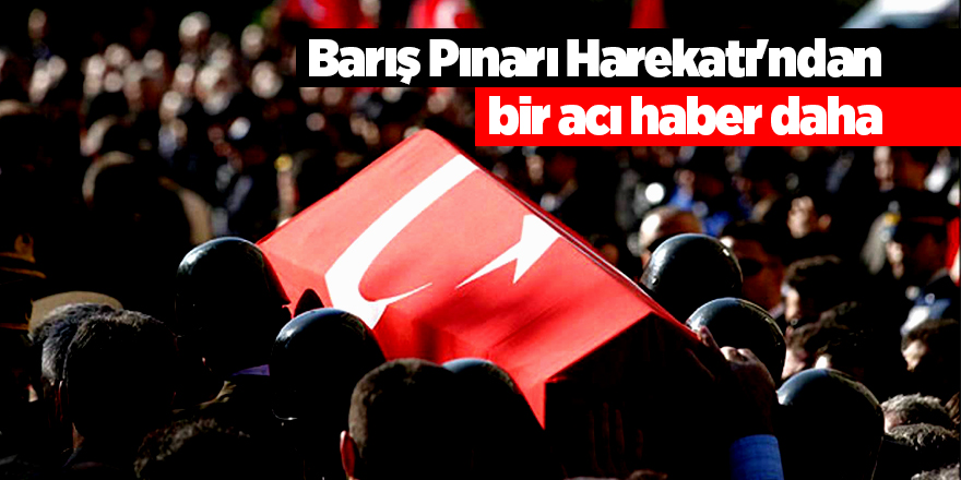 Barış Pınarı Harekatı'ndan bir acı haber daha