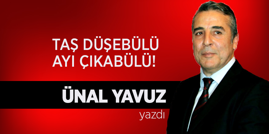 Ünal Yavuz yazdı... 'Taş Düşebülür, Ayı Çıkabülür'