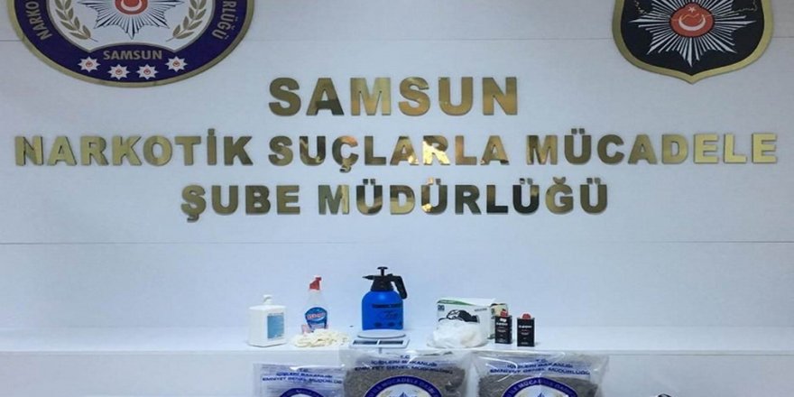 Samsun'da bonzai imalathanesine operasyon: 1 gözaltı