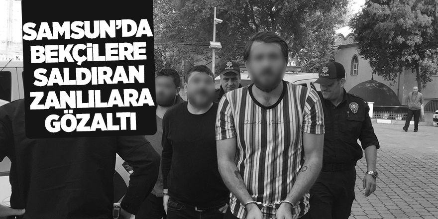 Samsun'da bekçilere saldıran şahısları polis etkisiz hale getirdi