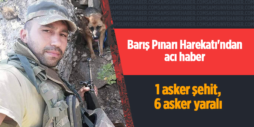 Barış Pınarı Harekatı'ndan acı haber